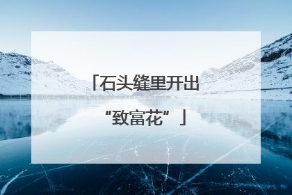 石头缝里开出“致富花”